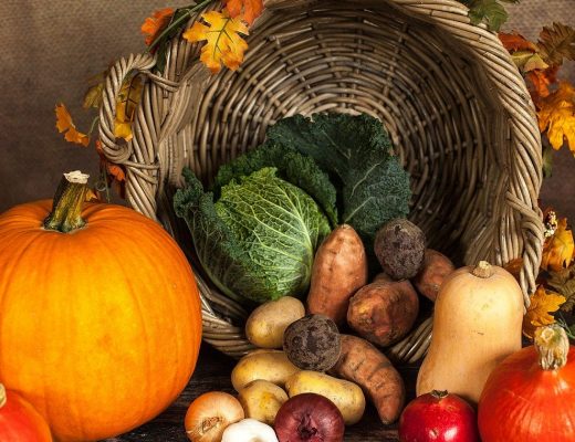 Choisissez les fournisseurs de légumes et d’oeufs