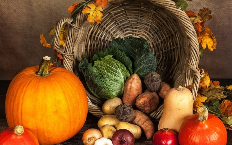 Choisissez les fournisseurs de légumes et d’oeufs